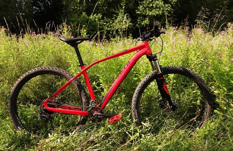 29er mountain bike xl frame